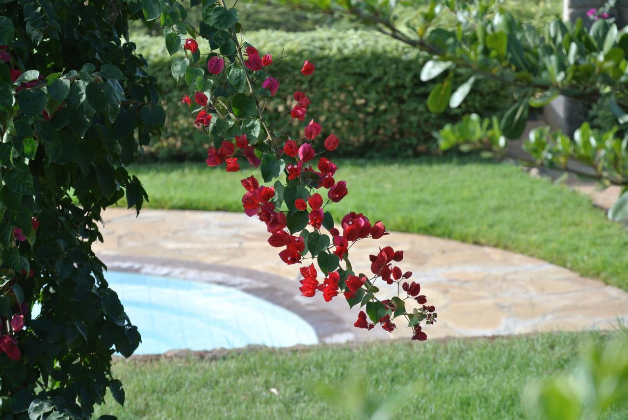 Nyati Hill Cottages Nairobi Buitenkant foto